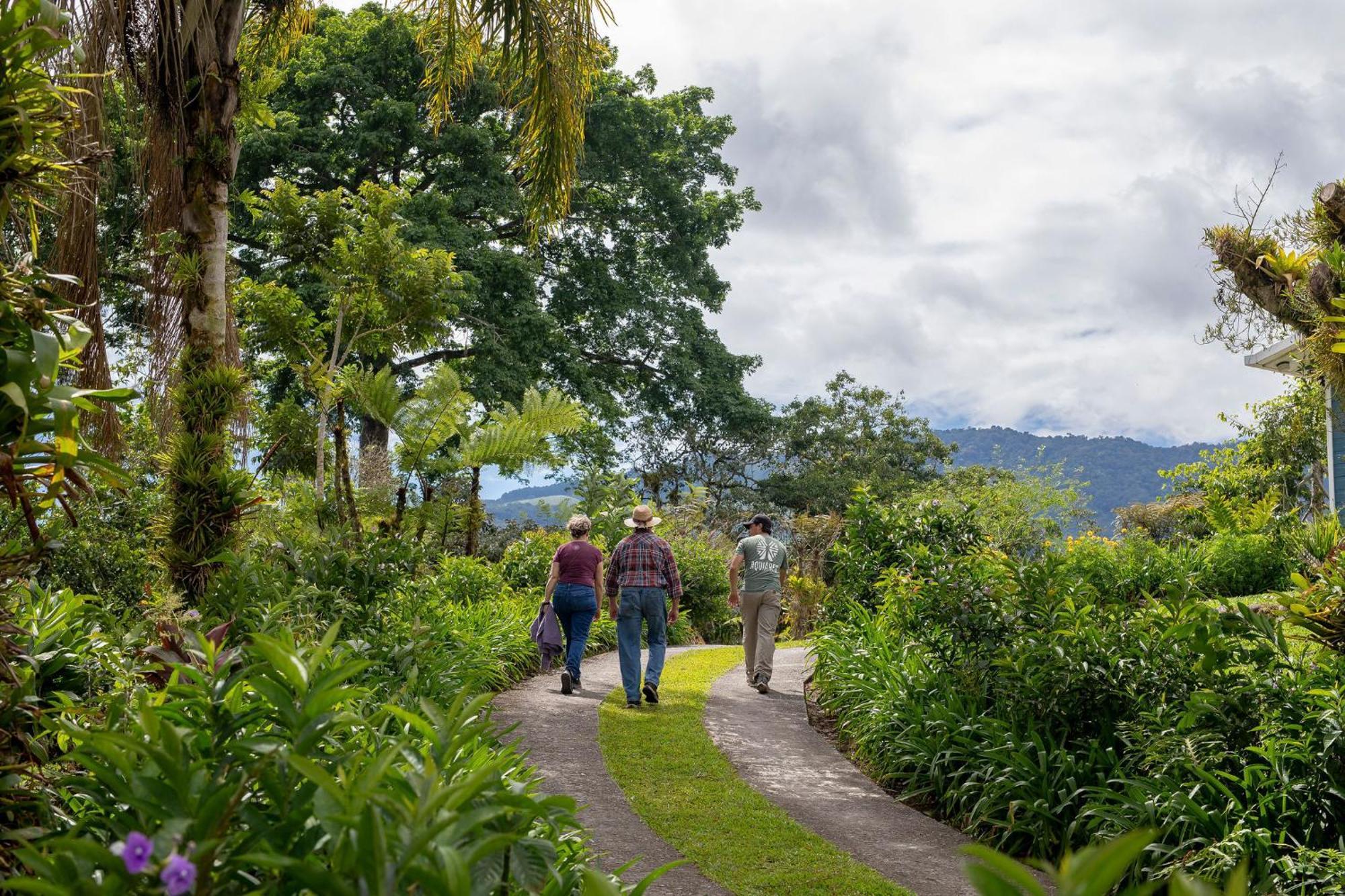Aquiares Coffee Farm Casa Hacienda La Esperanza Bed & Breakfast Turrialba Exterior photo