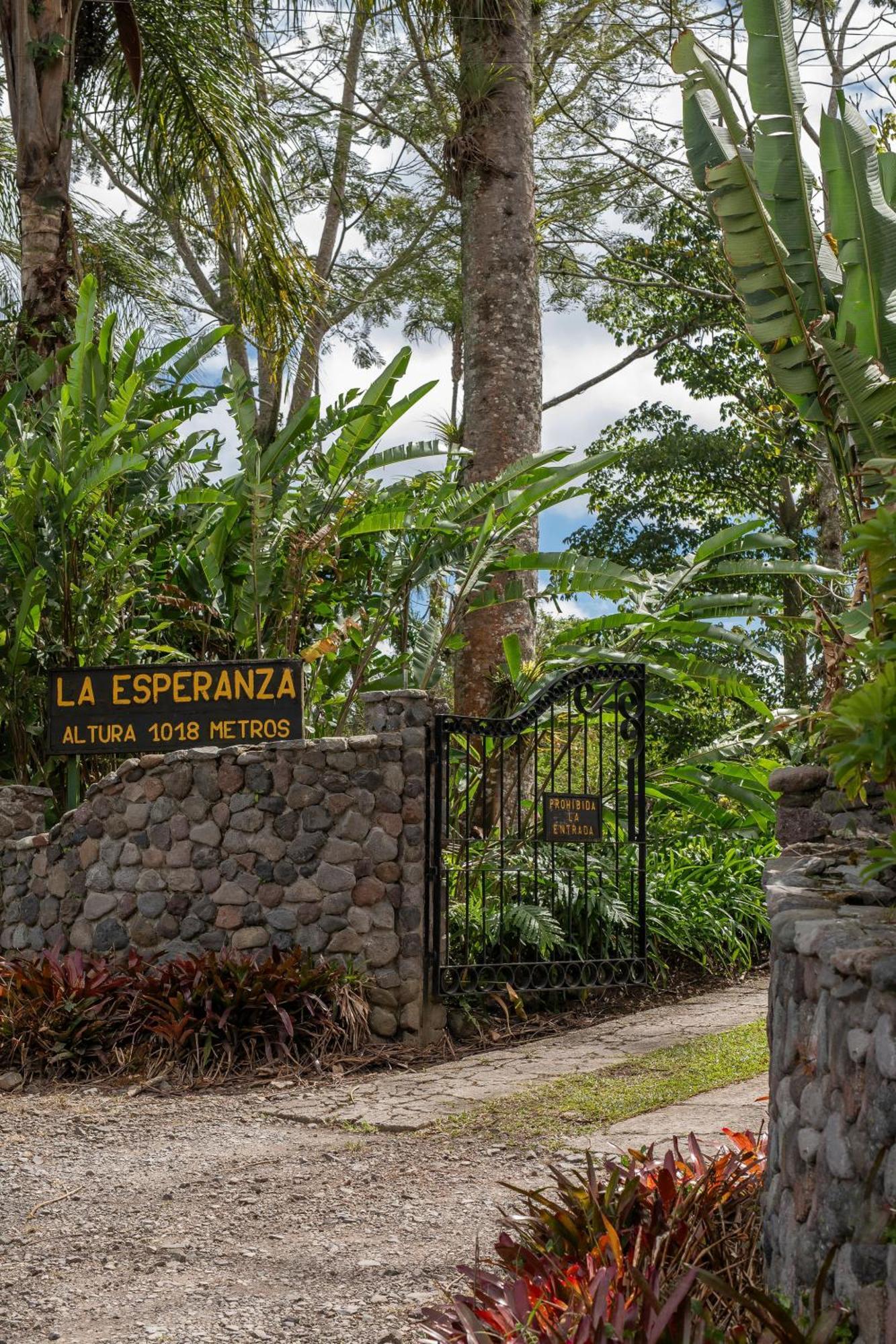 Aquiares Coffee Farm Casa Hacienda La Esperanza Bed & Breakfast Turrialba Exterior photo